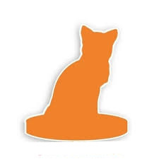 Custom cat bobble head doll