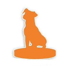Custom your pet dog into bobble head doll